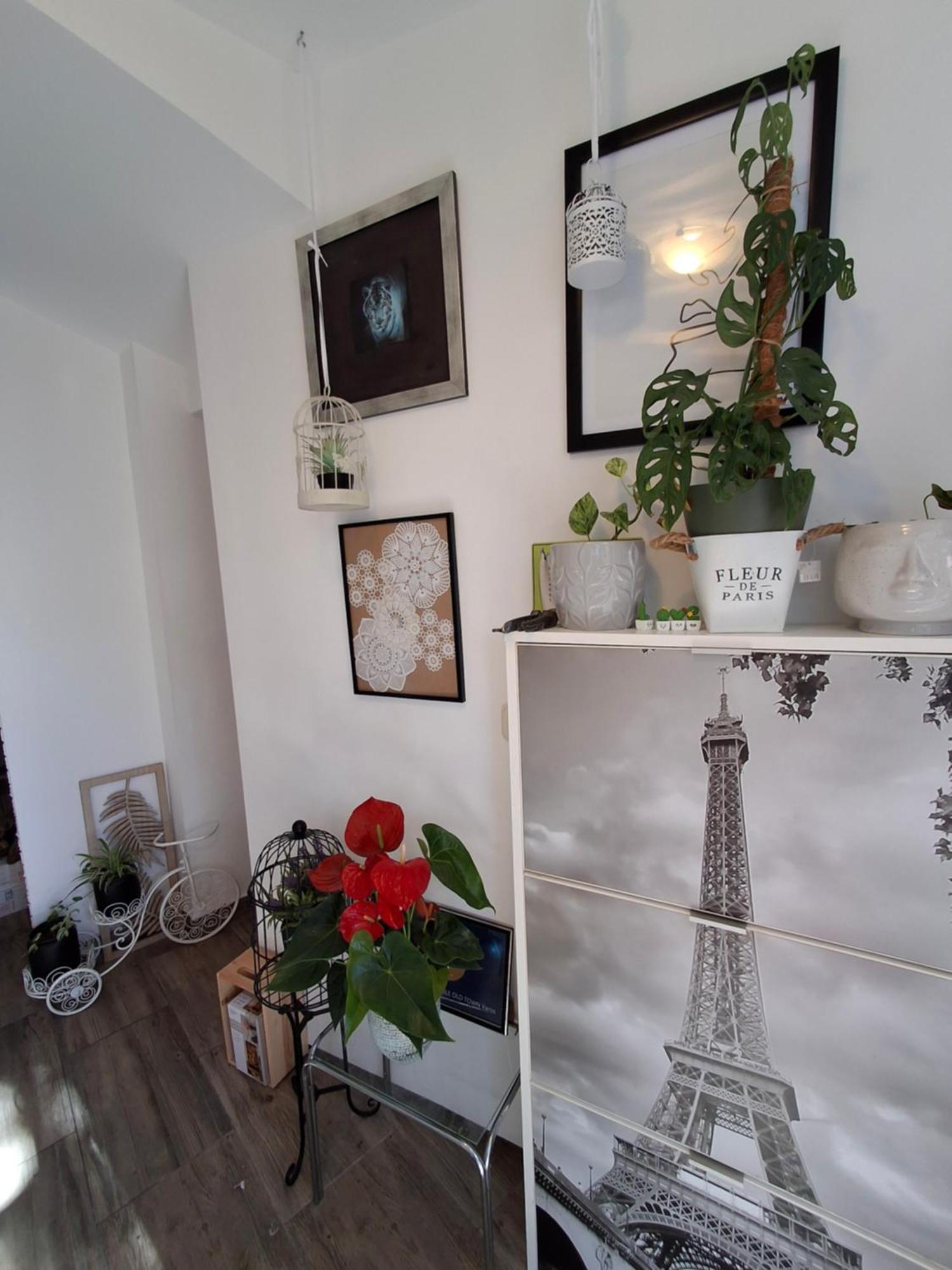 Old Town Sole Apartment Сплит Екстериор снимка